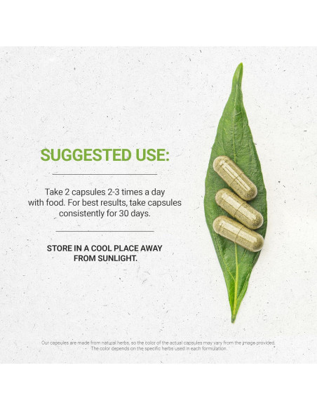 Cápsulas de Menta 1000 mg Secretos de la Tribu - 60 Unidades