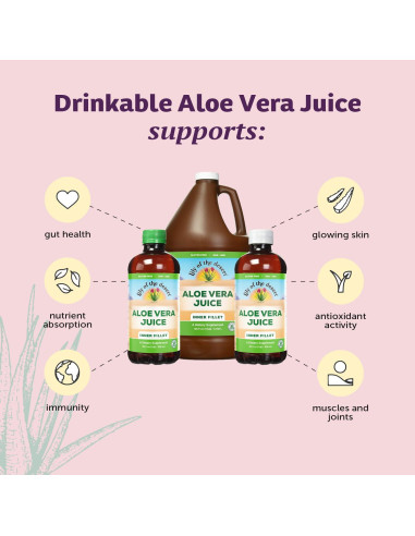 Jugo de Aloe Vera Orgánico Lirio del Desierto 946 ml - Salud Intestinal