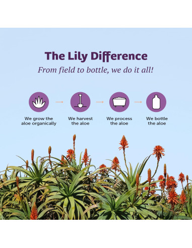 Jugo de Aloe Vera Orgánico Lirio del Desierto 946 ml - Salud Intestinal