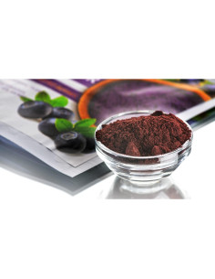 Polvo de Arándano Liofilizado Natural Tesoro Siberiano 56.7g 2