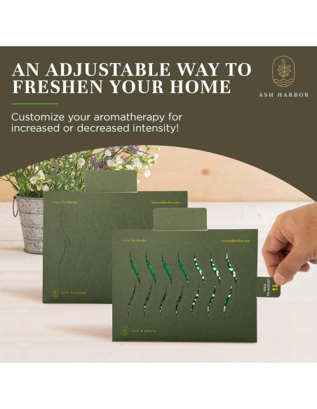 Ambientadores de Aire Ash Harbor - Té Verde Matcha - Paquete de 4