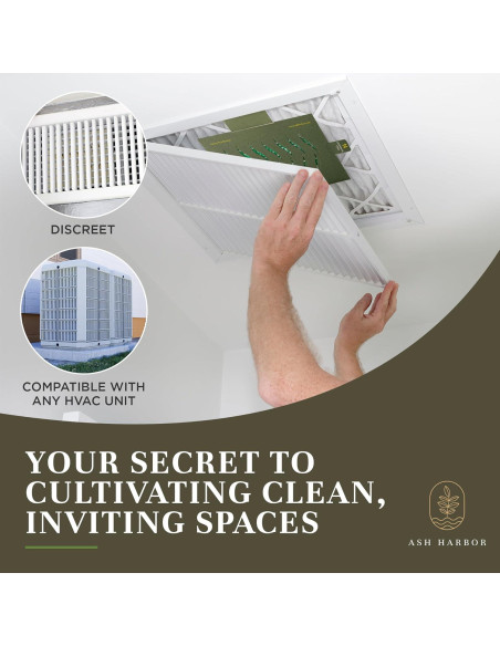 Ambientadores de Aire Ash Harbor - Té Verde Matcha - Paquete de 4