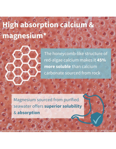 Suplemento Vegano de Calcio y Magnesio Igennus 60 Tabletas