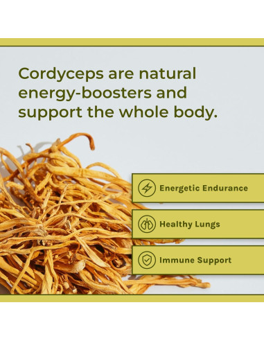 Polvo de Hongo Cordyceps Naturealm 59.5g - Energía y Enfoque