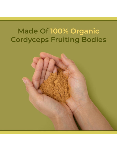 Polvo de Hongo Cordyceps Naturealm 59.5g - Energía y Enfoque