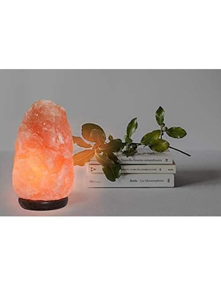 Lámpara de Sal del Himalaya Spantik 18 cm Regulable Madera