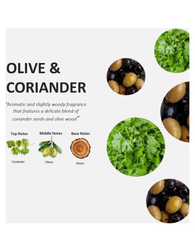 Jabón de Manos Frutas y Pasión Cilantro y Olivo 500 ml