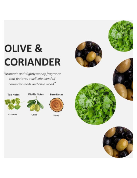 Jabón de Manos Frutas y Pasión Cilantro y Olivo 500 ml Jabón de Manos Frutas y Pasión Cilantro y Olivo 500 ml