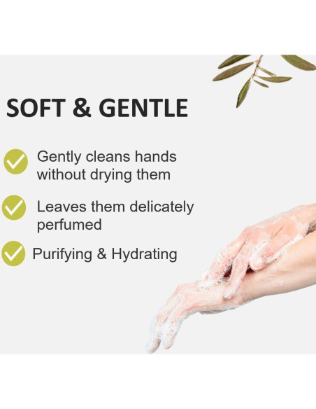 Jabón de Manos Frutas y Pasión Cilantro y Olivo 500 ml Jabón de Manos Frutas y Pasión Cilantro y Olivo 500 ml