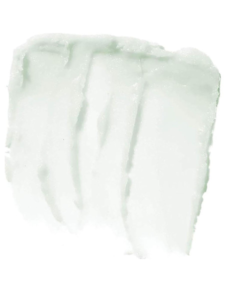 Exfoliante Labial e.l.f. Maniaco de Menta 3.11 g