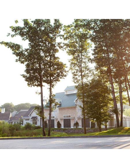 Aioli de Trufa Stonewall Kitchen 290g x2 - Sabor Gourmet