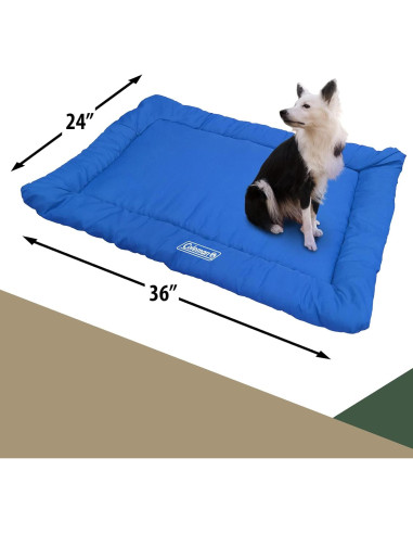 Cama de Viaje para Perros Coleman 91x61cm Plegable Azul