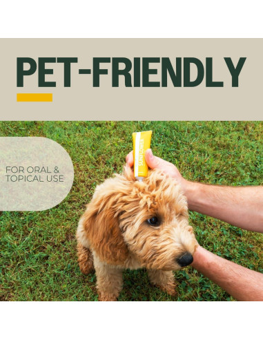 Aceite Ozonizado de Girasol PurO3 - Cuidado de la Piel 2x28.35g