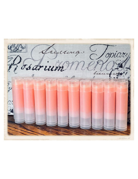 20 Balsamos Labiales Pumpkin Spice Latte Hechos a Mano 4.25g