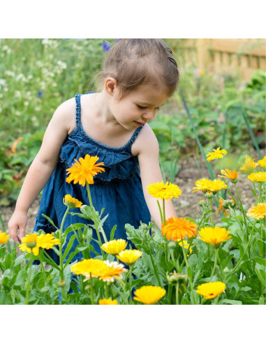 Mantequilla de Caléndula Safflower Safari 226g - Hipoalergénica