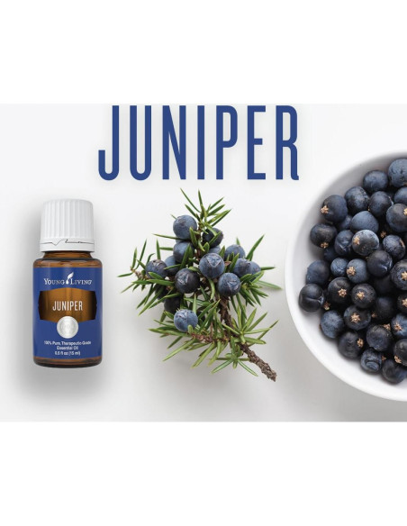 Aceite Esencial de Enebro Young Living 15ml - Aroma Dulce y Amaderado