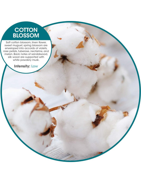 Clip Ambientador Eco Bowl Fresh Products Flor de Algodón 12 pk