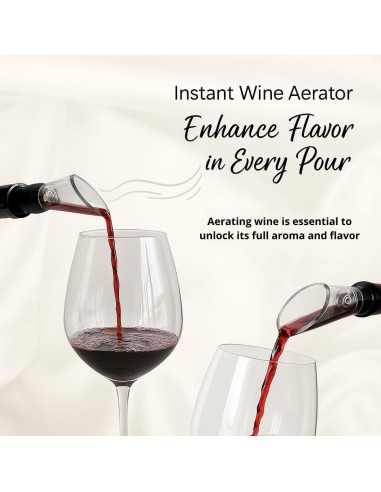 Aerador y Vertedor de Vino Kandohaus - Set 2 Accesorios