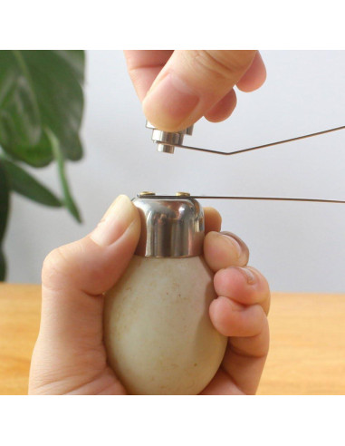 Cortador de Huevos Fdit de Acero Inoxidable - Herramienta Manual