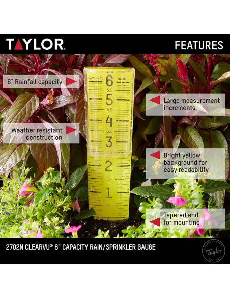 Medidor de Lluvia ClearVu Taylor 15.24 cm Transparente