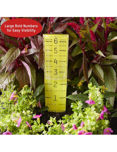 Medidor de Lluvia ClearVu Taylor 15.24 cm Transparente