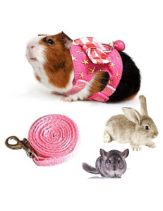 Arnés y correa ajustable para mascotas pequeñas Litewood - Estrella Rosa