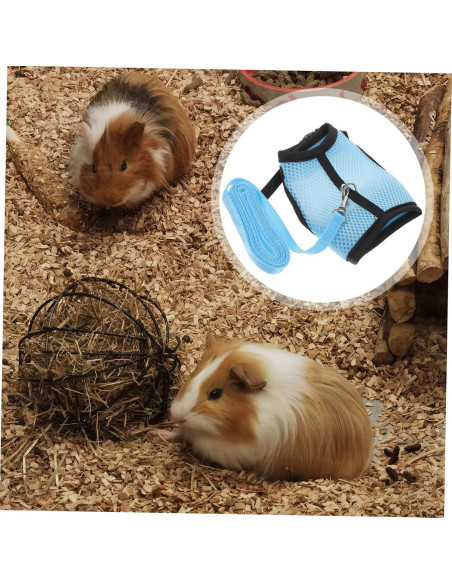 Conjunto de Arnés y Correa para Cobayas FOMIYES Azul 2 Pcs