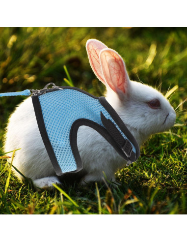 Conjunto de Arnés y Correa para Cobayas FOMIYES Azul 2 Pcs