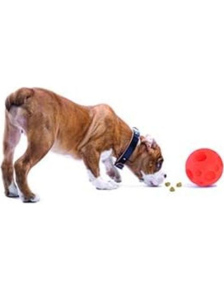 Bola de Golosinas Tricky Omega Paw - Mediana, Naranja