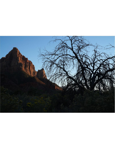 Lente Sony FE 50mm F1.4 GM para cámaras E - Compacto y ligero