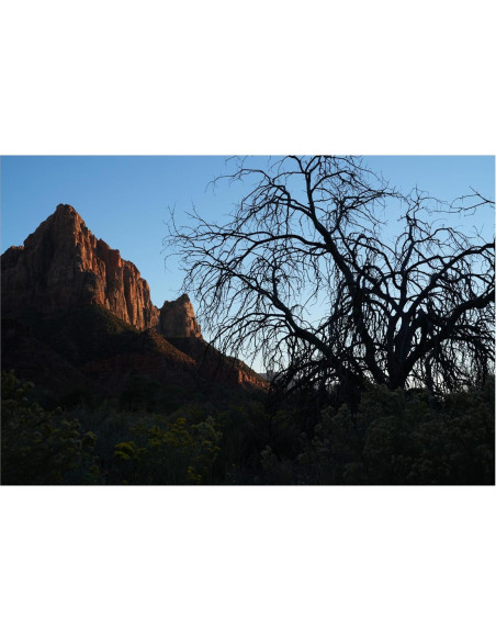 Lente Sony FE 50mm F1.4 GM para cámaras E - Compacto y ligero