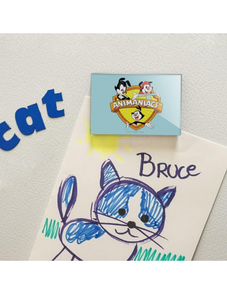 Imán Acrílico Rectangular Animaniacs 7.6x5.1cm - Graphics & More