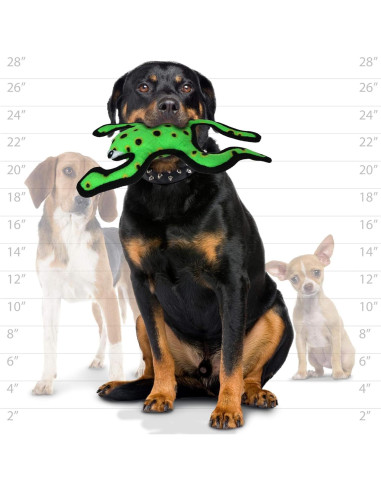 Tuffy Juguetes para Perros Edición Limitada Paquete de 2