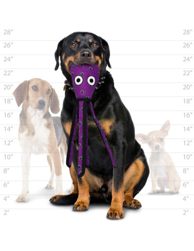 Tuffy Juguetes para Perros Edición Limitada Paquete de 2