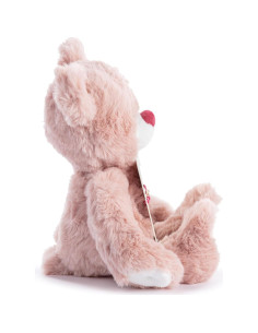 Set Oso de Peluche y Pulsera Hermana Mayor DEMDACO 20 cm 2