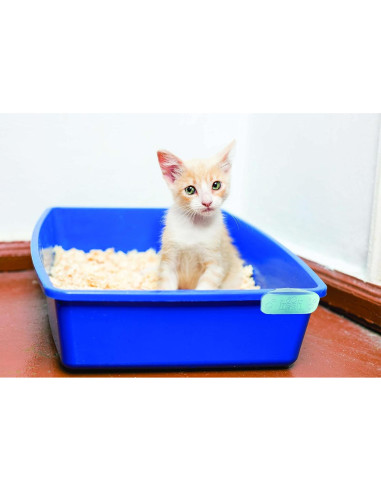 Clip Ambientador Eco Air Fresh Products Cítrico 10 Unidades