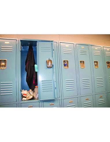 Clip Ambientador Eco Air Fresh Products Cítrico 10 Unidades