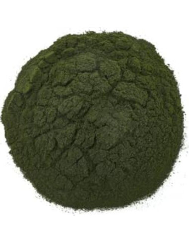 Polvo de Chlorella Yupik 249g - Superfood Nutritivo