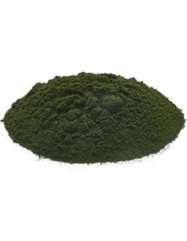 Polvo de Chlorella Yupik 249g - Superfood Nutritivo