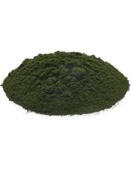 Polvo de Chlorella Yupik 249g - Superfood Nutritivo