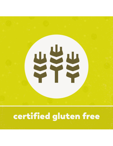 Polvo de Chlorella Yupik 249g - Superfood Nutritivo