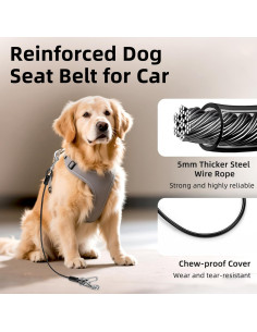 Cinturón de Seguridad para Perros VavoPaw 40 cm Negro 2