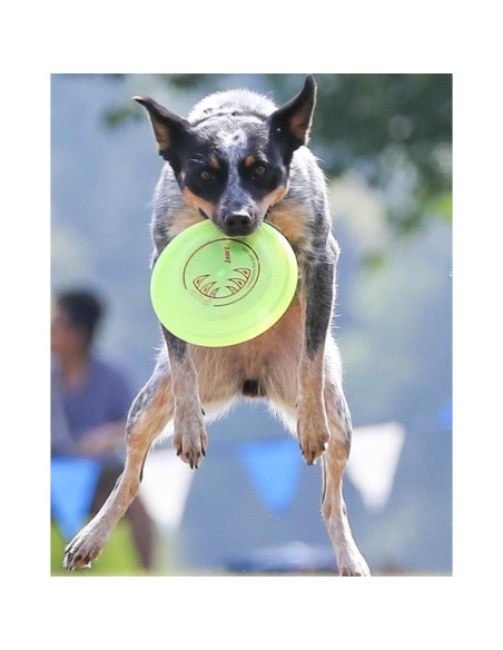 Disco Volador para Perros Hyperflite K-10 Jawz 22.23 cm