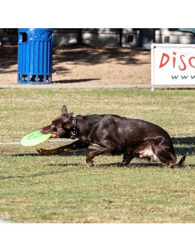 Disco Volador para Perros Hyperflite K-10 Jawz 22.23 cm