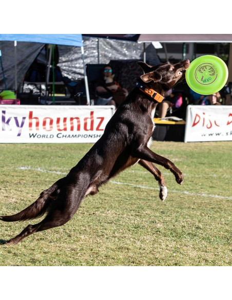 Disco Volador para Perros Hyperflite K-10 Jawz 22.23 cm