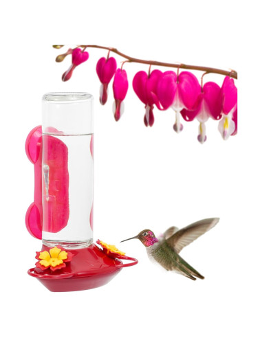 Alimentador de Colibríes de Vidrio Perky-Pet 455-2 414 ml Rojo