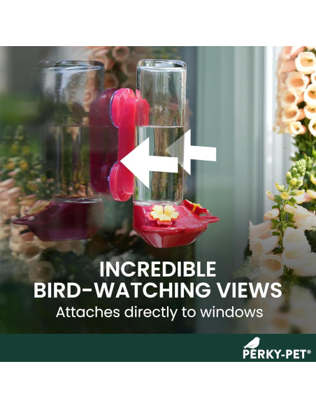 Alimentador de Colibríes de Vidrio Perky-Pet 455-2 414 ml Rojo