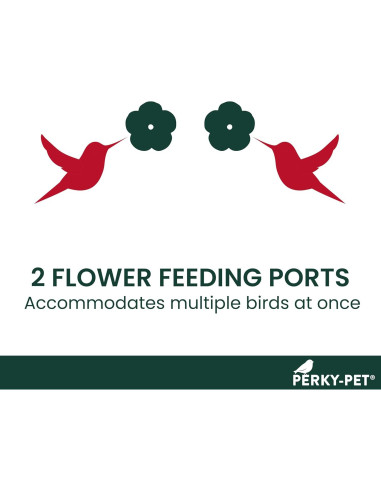 Alimentador de Colibríes de Vidrio Perky-Pet 455-2 414 ml Rojo