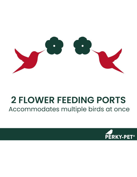 Alimentador de Colibríes de Vidrio Perky-Pet 455-2 414 ml Rojo