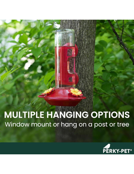 Alimentador de Colibríes de Vidrio Perky-Pet 455-2 414 ml Rojo